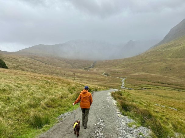 mosaic detail from a monastery in Cyprus